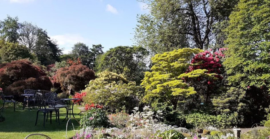 Branklyn Garden (National Trust for Scotland), United Kingdom